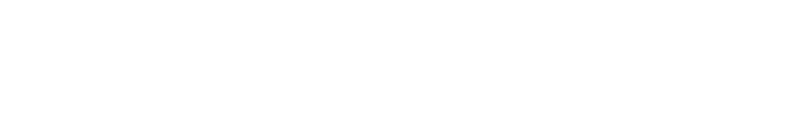 dashund